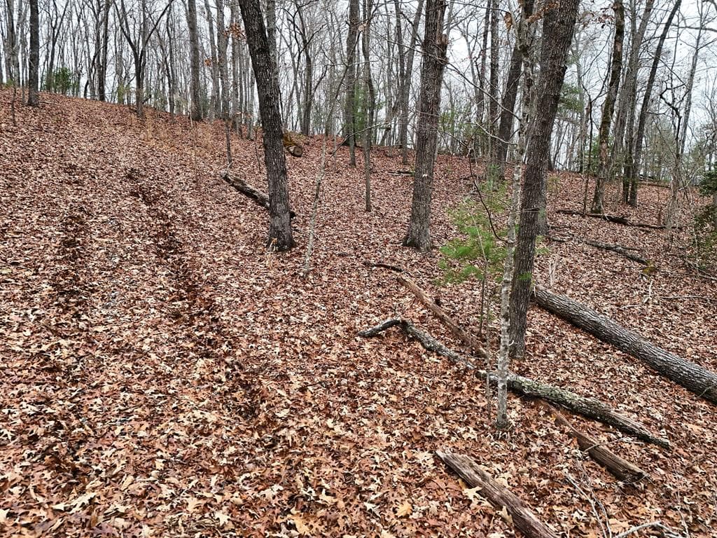 0 Dills Road, Blue Ridge GA 30513 - Photo