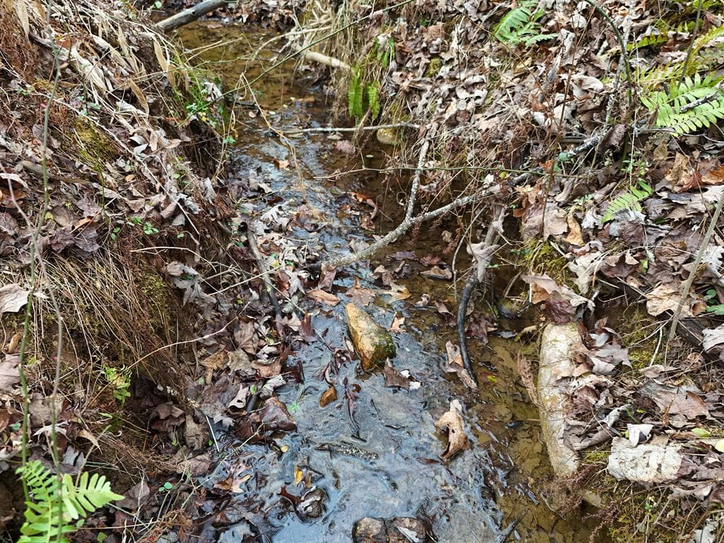 0 Dills Road, Blue Ridge GA 30513 - Photo