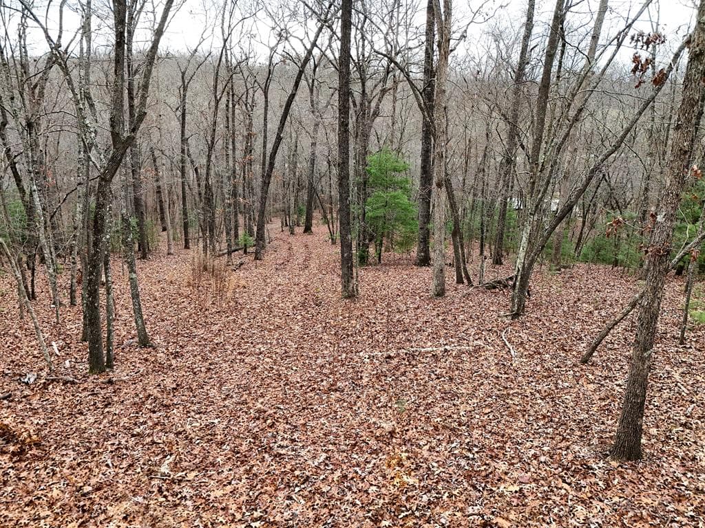 0 Dills Road, Blue Ridge GA 30513 - Photo
