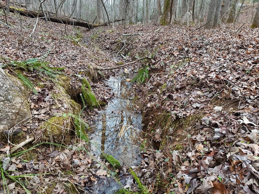 0 Dills Road, Blue Ridge GA 30513 - Photo