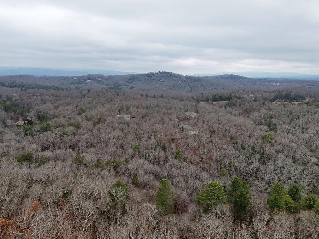 0 Dills Road, Blue Ridge GA 30513 - Photo