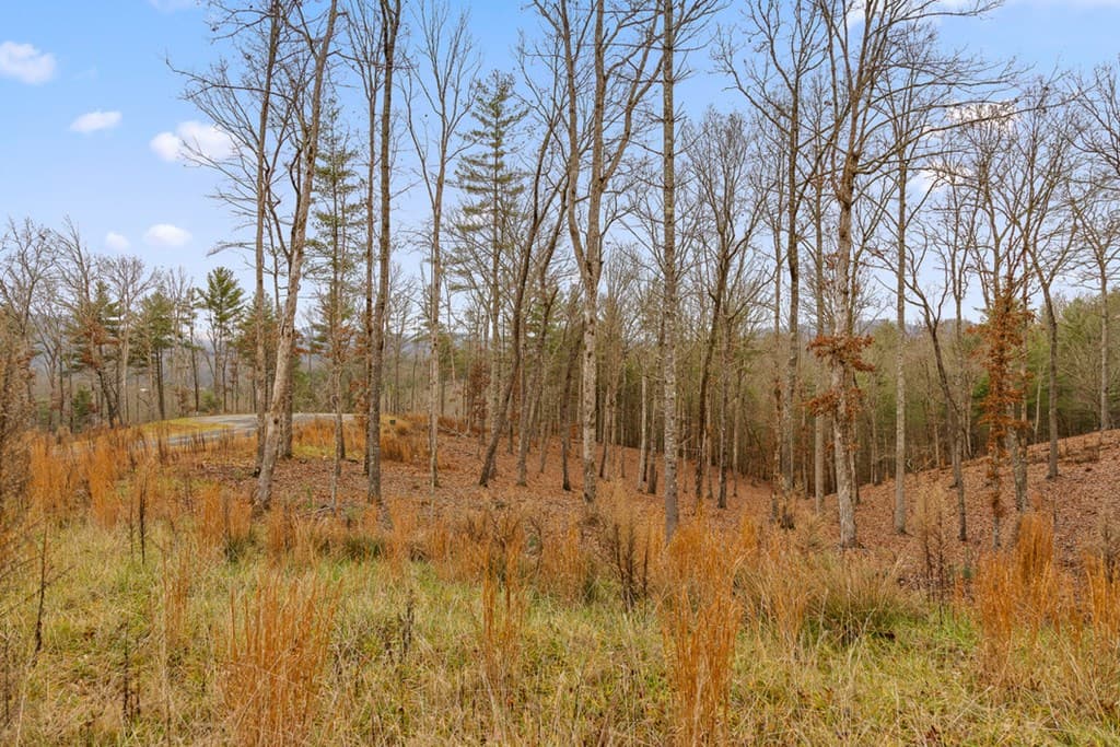 Lot 99 South Wind Court, Morganton GA 30560 - Photo