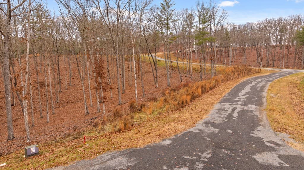 Lot 99 South Wind Court, Morganton GA 30560 - Photo