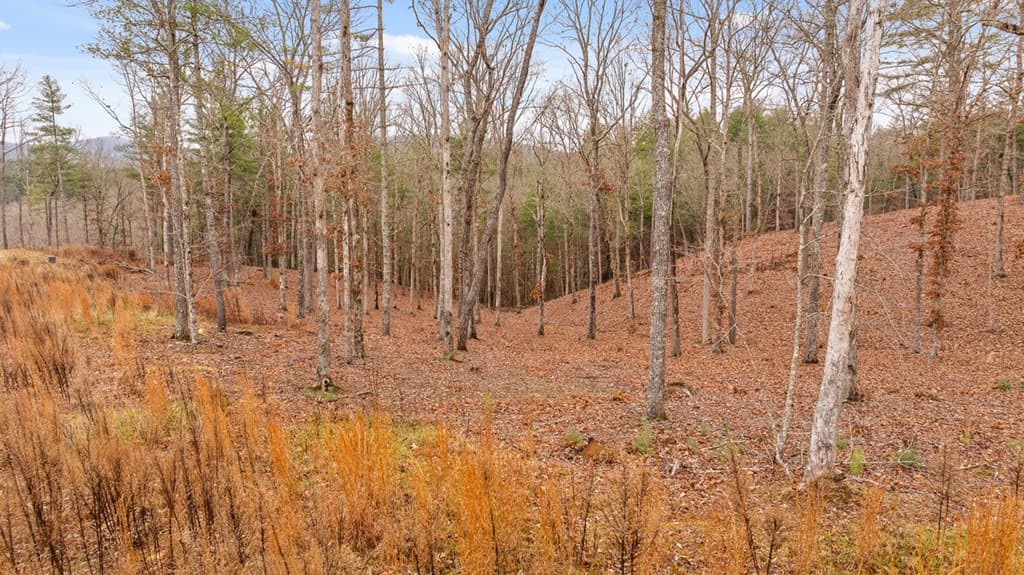 Lot 99 South Wind Court, Morganton GA 30560 - Photo
