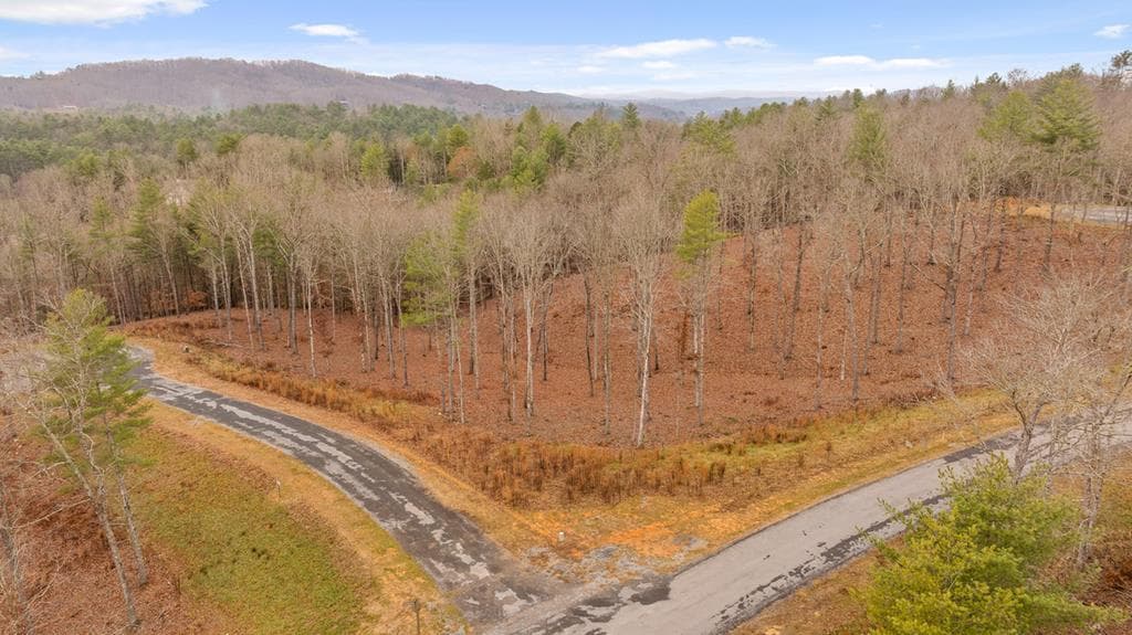 Lot 99 South Wind Court, Morganton GA 30560 - Primary photo