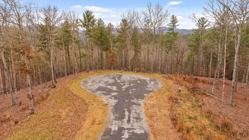 Lot 99 South Wind Court, Morganton GA 30560 - Photo
