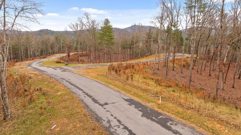 Lot 99 South Wind Court, Morganton GA 30560 - Photo