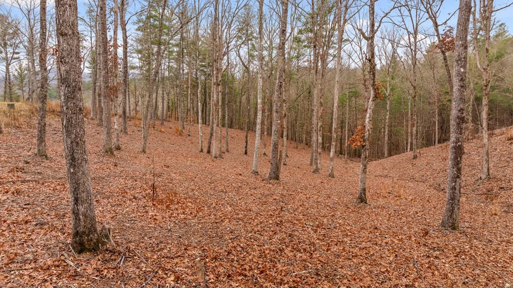 Lot 99 South Wind Court, Morganton GA 30560 - Photo