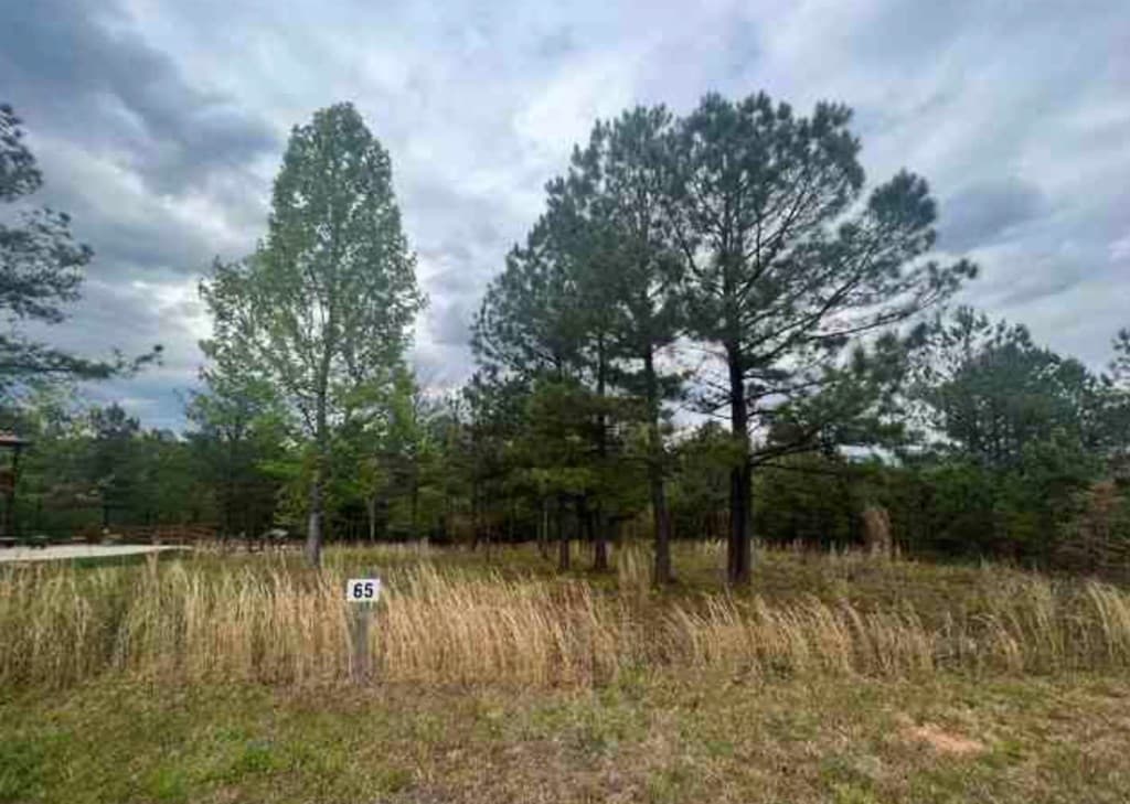 0 Village Loop, Blairsville GA 30512 - Photo