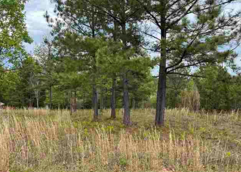 0 Village Loop, Blairsville GA 30512 - Photo