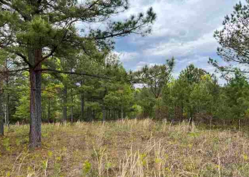 0 Village Loop, Blairsville GA 30512 - Primary photo