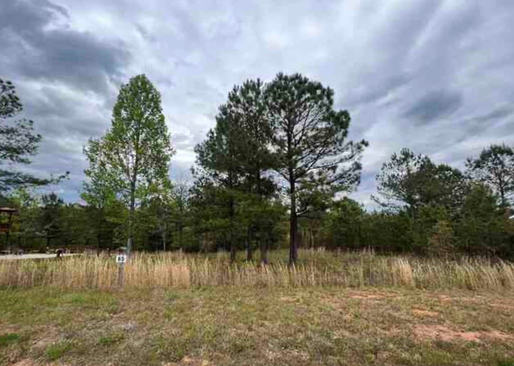 0 Village Loop, Blairsville GA 30512 - Photo