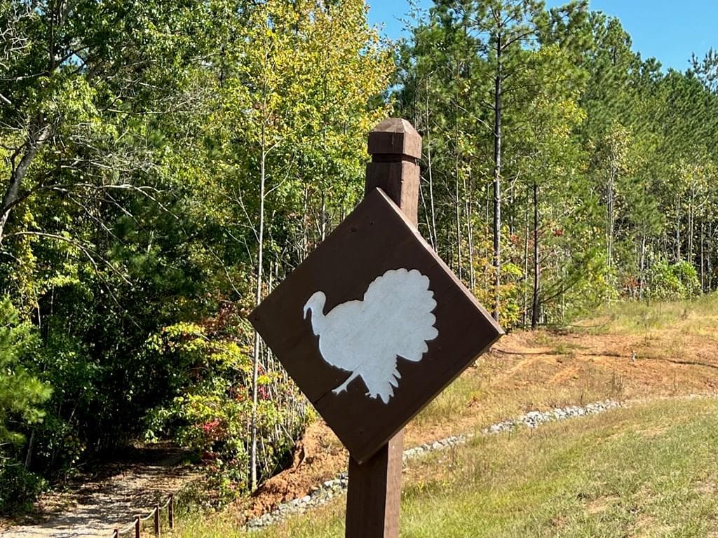 Lot 5 Blalock Mountain Road, Talking Rock GA 30175 - Photo