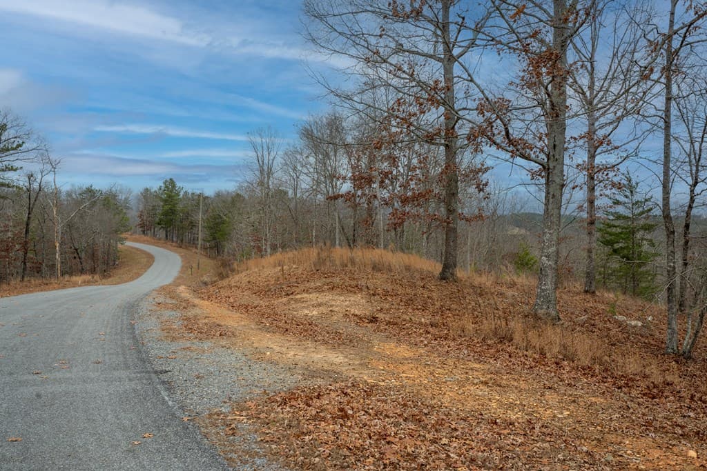 Lot 5 Blalock Mountain Road, Talking Rock GA 30175 - Photo
