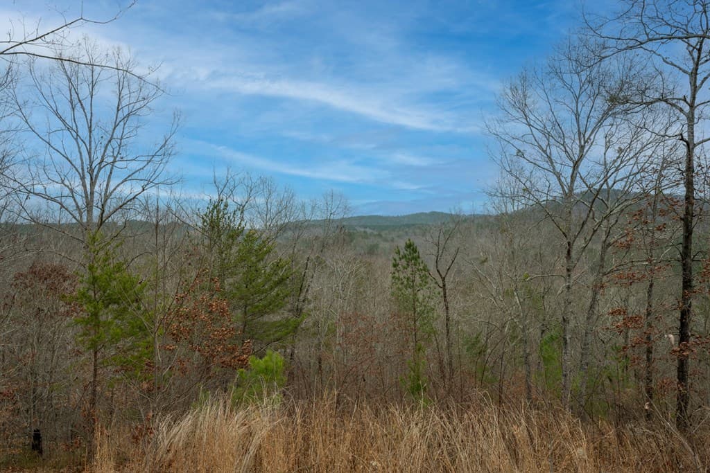 Lot 5 Blalock Mountain Road, Talking Rock GA 30175 - Photo