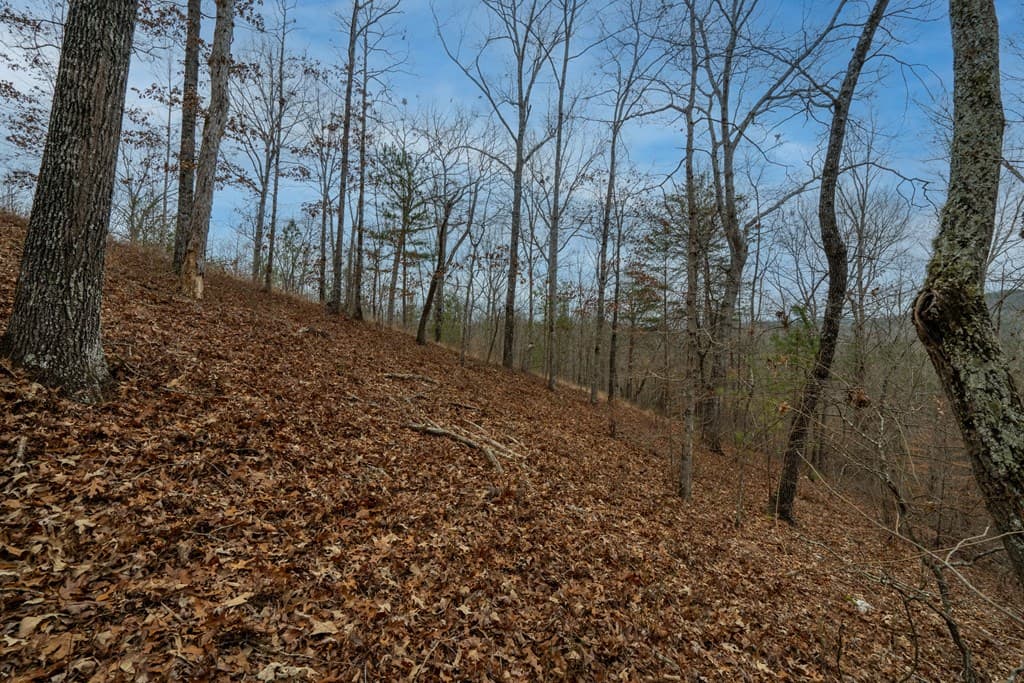 Lot 5 Blalock Mountain Road, Talking Rock GA 30175 - Photo