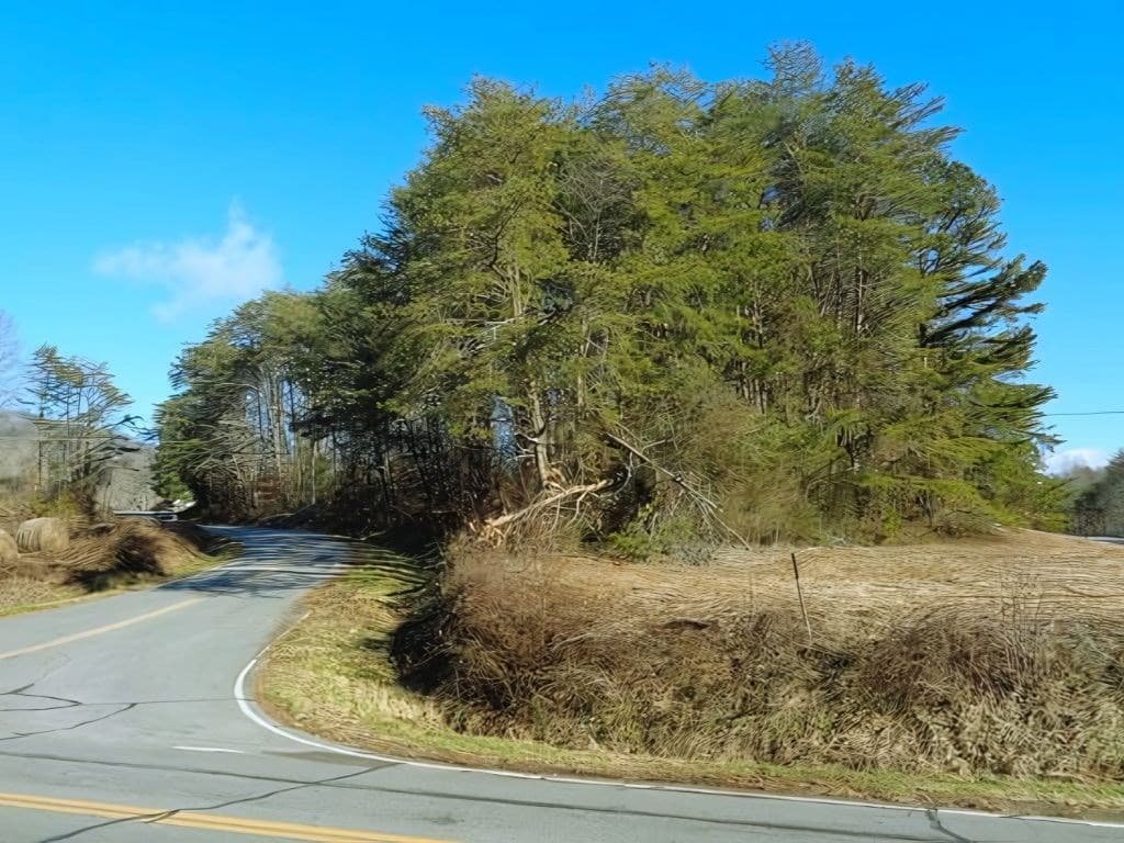 HWY 64 Cold Branch, Hayesville NC 28904 - Photo