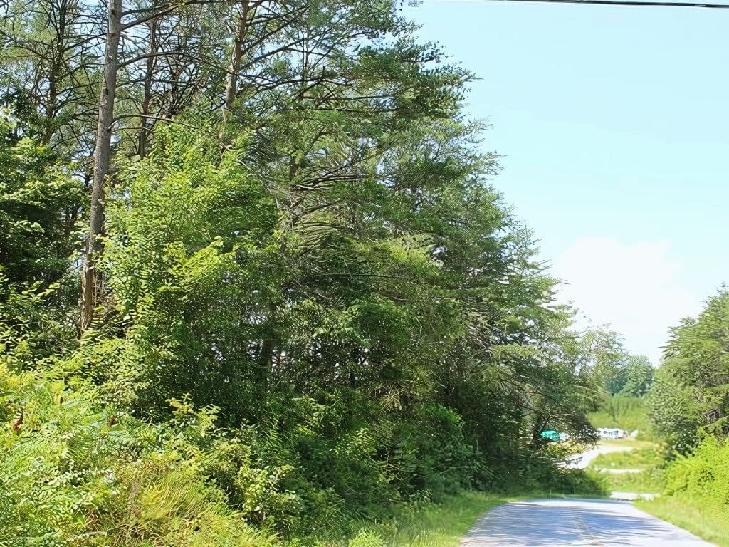 HWY 64 Cold Branch, Hayesville NC 28904 - Photo