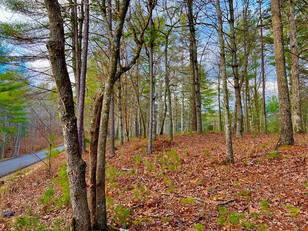 Lot 5 Hawks View, Morganton GA 30560 - Photo