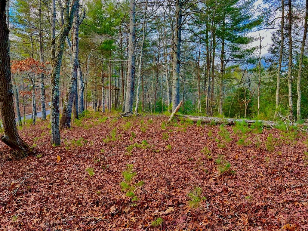 Lot 5 Hawks View, Morganton GA 30560 - Photo