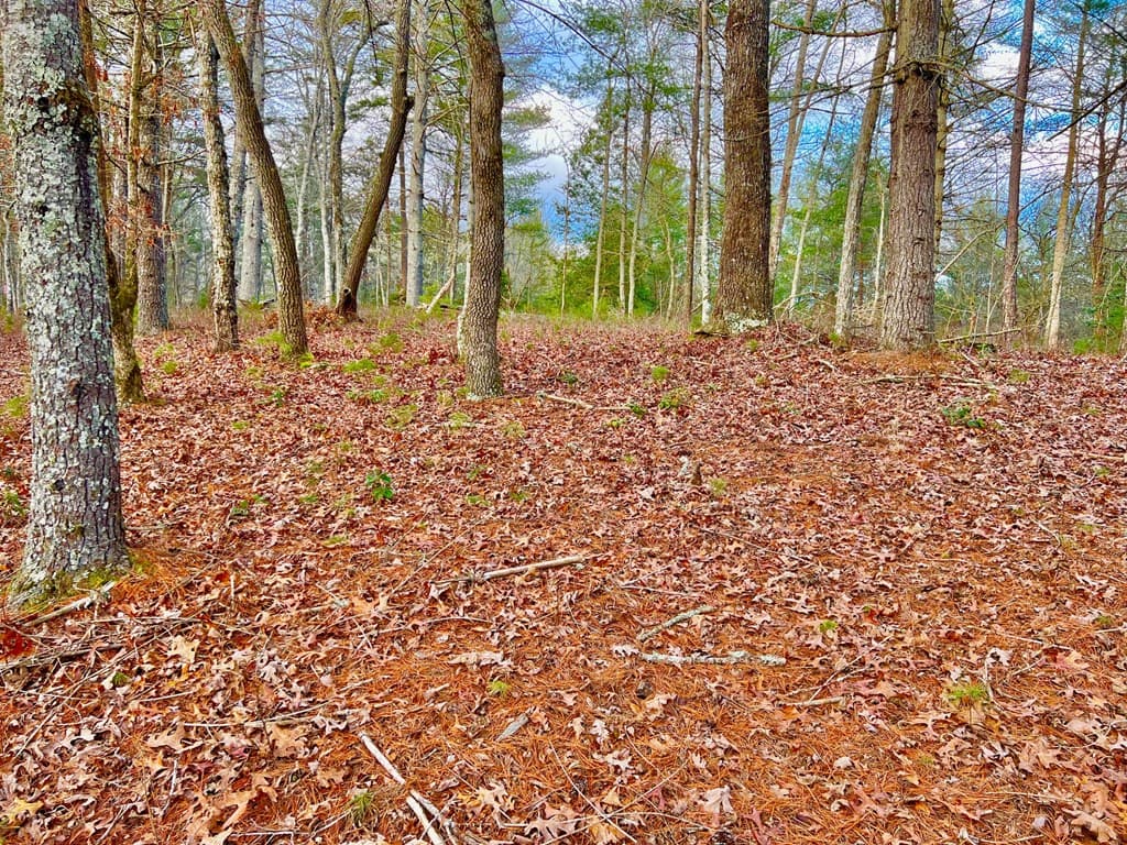 Lot 5 Hawks View, Morganton GA 30560 - Photo