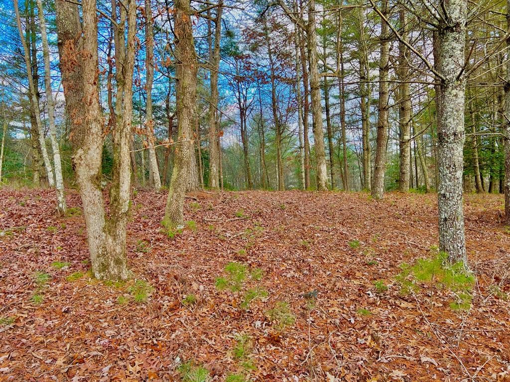 Lot 5 Hawks View, Morganton GA 30560 - Primary photo