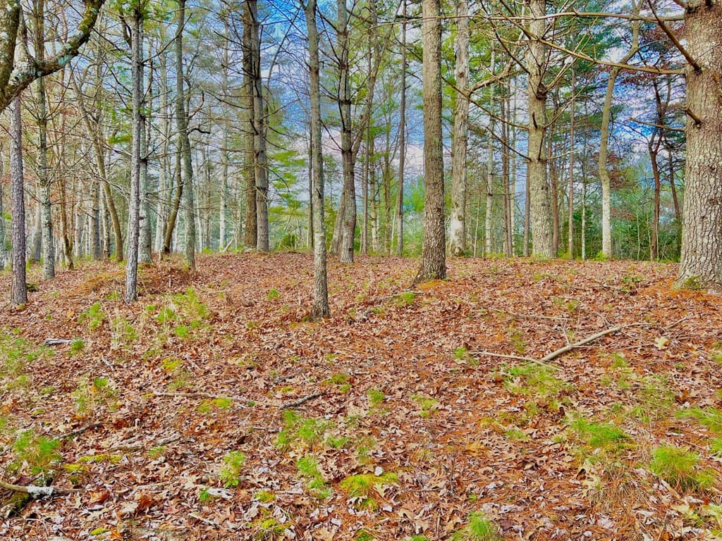 Lot 5 Hawks View, Morganton GA 30560 - Photo