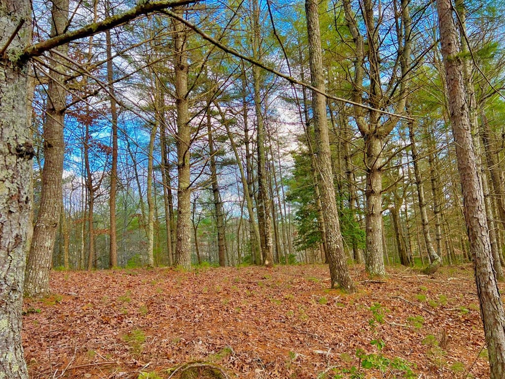 Lot 5 Hawks View, Morganton GA 30560 - Photo