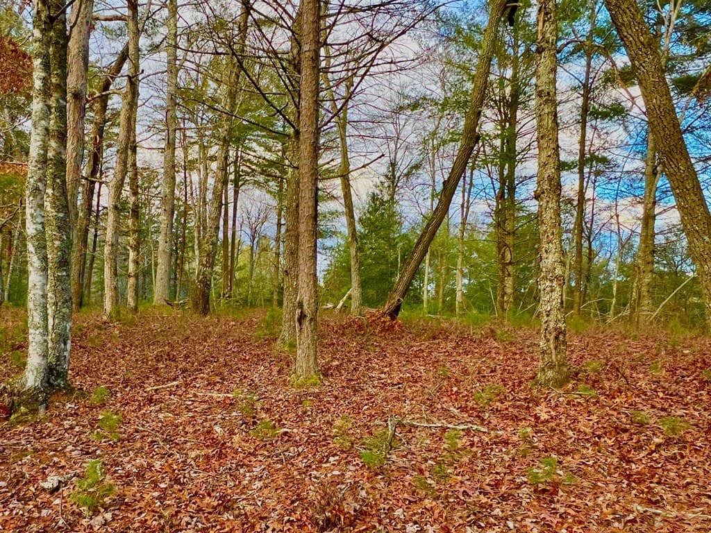 Lot 5 Hawks View, Morganton GA 30560 - Photo