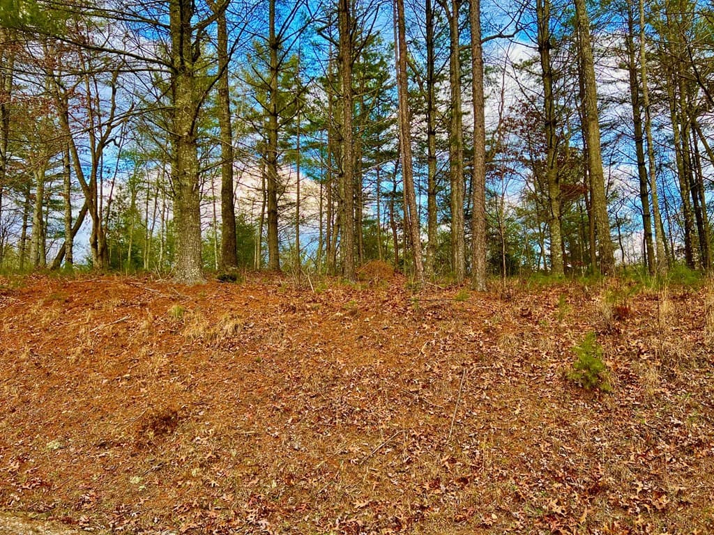 Lot 5 Hawks View, Morganton GA 30560 - Photo
