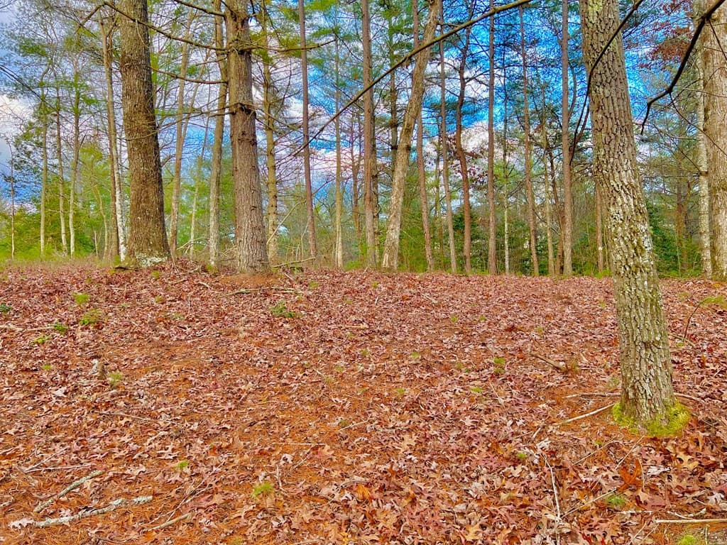 Lot 5 Hawks View, Morganton GA 30560 - Photo