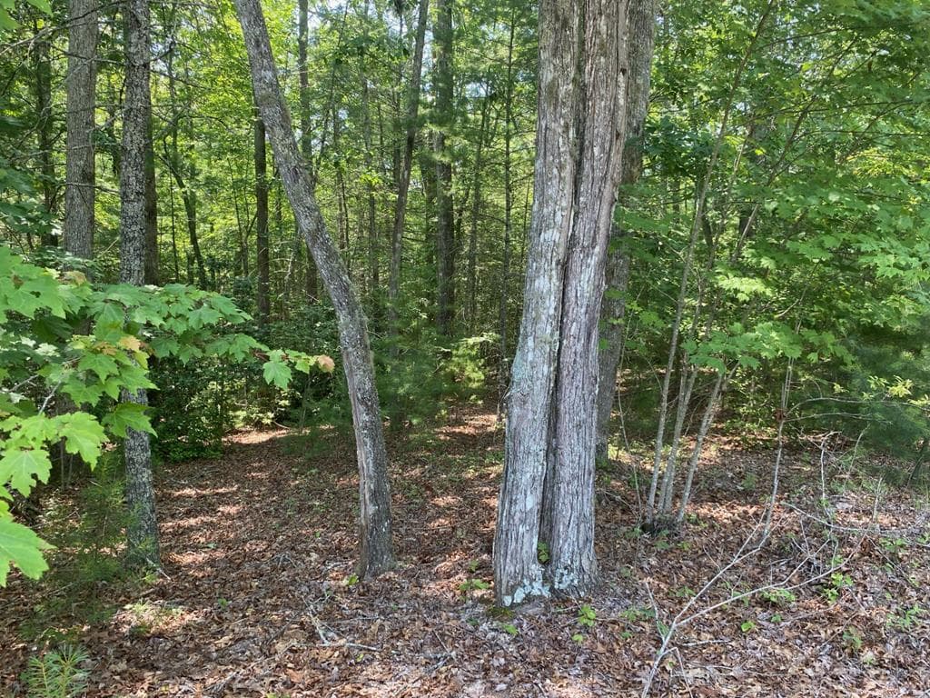 Lot 34 Point Overlook Trail, Murphy NC 28906 - Photo