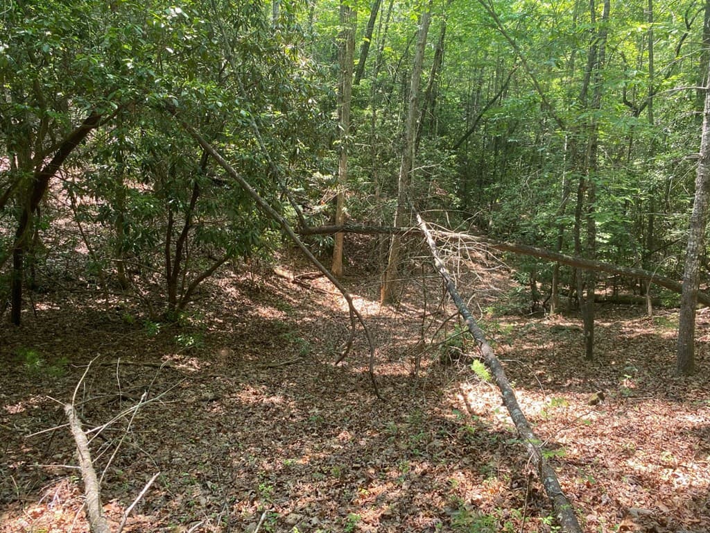 Lot 34 Point Overlook Trail, Murphy NC 28906 - Photo
