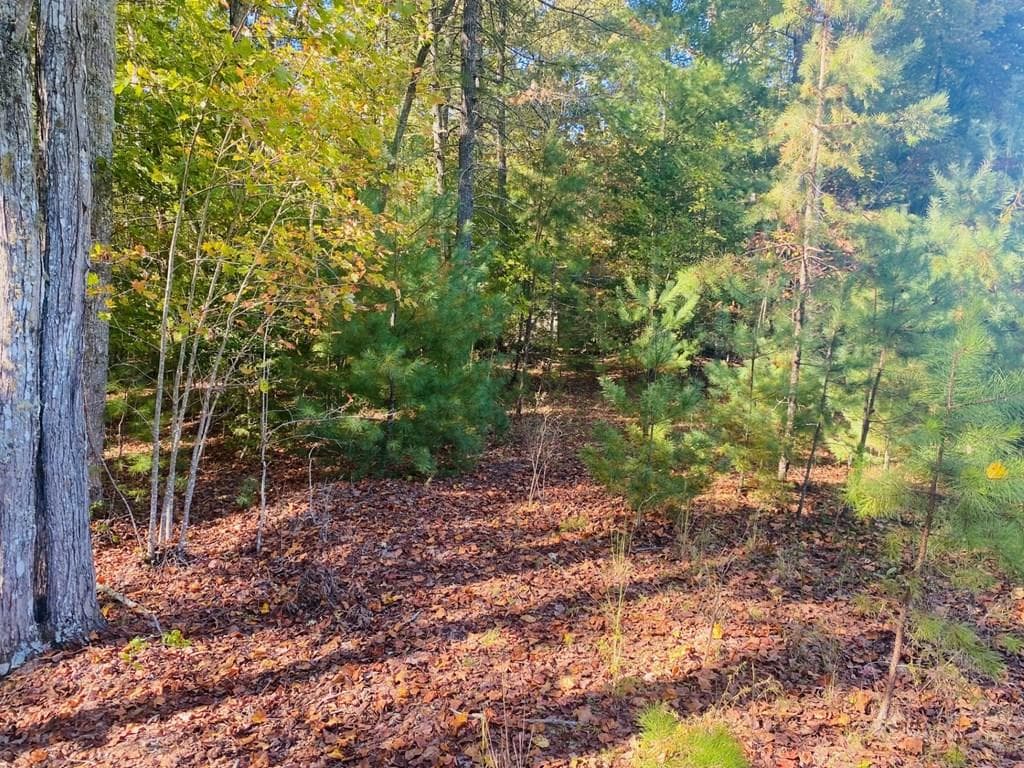 Lot 34 Point Overlook Trail, Murphy NC 28906 - Photo