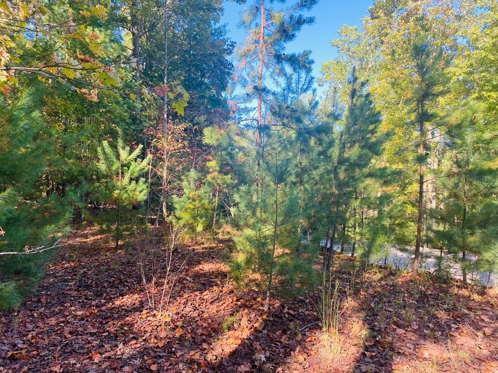 Lot 34 Point Overlook Trail, Murphy NC 28906 - Photo