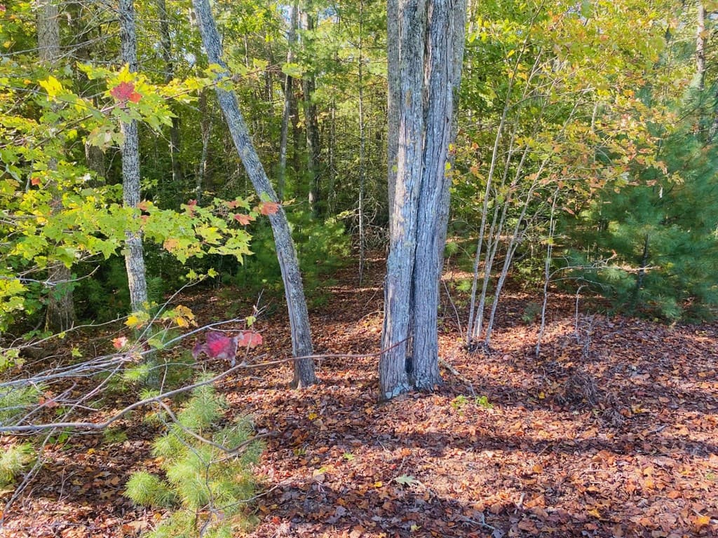 Lot 34 Point Overlook Trail, Murphy NC 28906 - Photo
