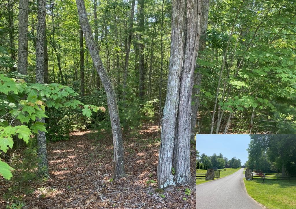 Lot 34 Point Overlook Trail, Murphy NC 28906 - Primary photo
