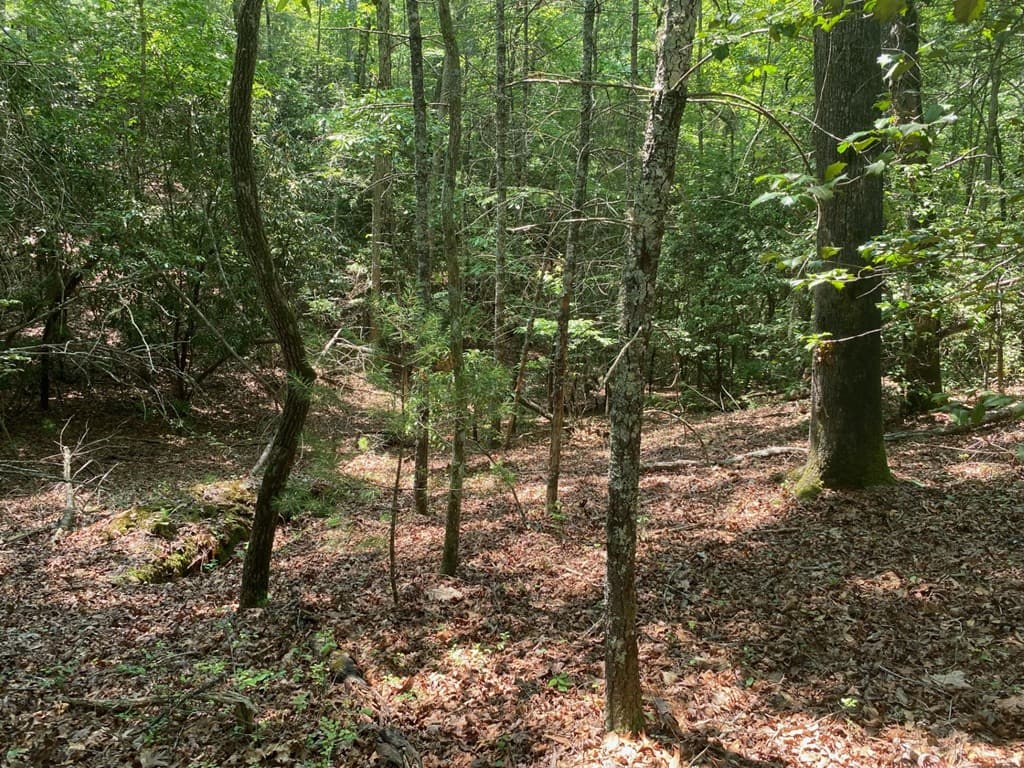 Lot 34 Point Overlook Trail, Murphy NC 28906 - Photo
