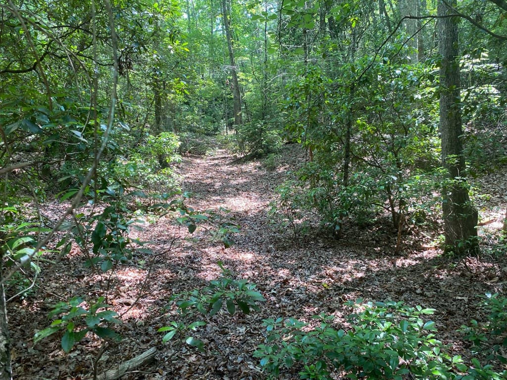 Lot 34 Point Overlook Trail, Murphy NC 28906 - Photo