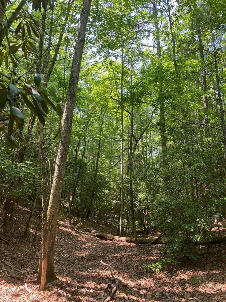Lot 34 Point Overlook Trail, Murphy NC 28906 - Photo
