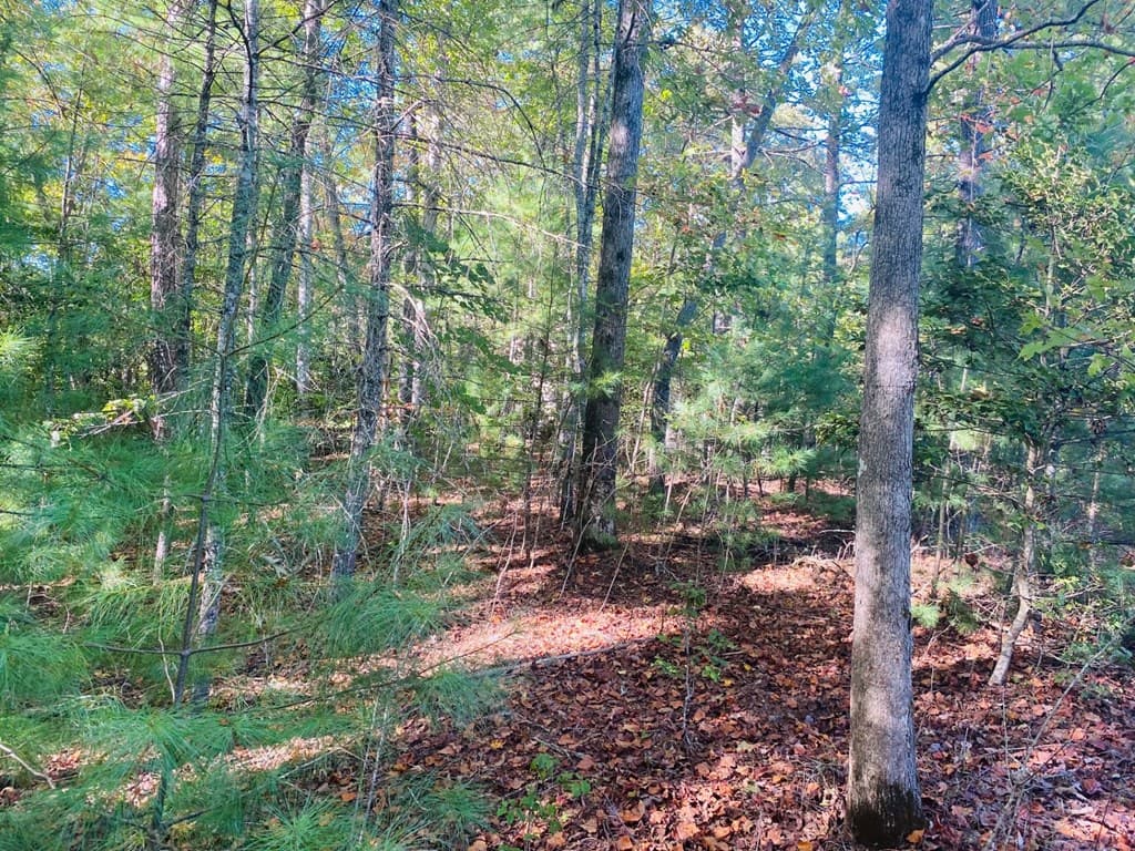 Lot 34 Point Overlook Trail, Murphy NC 28906 - Photo