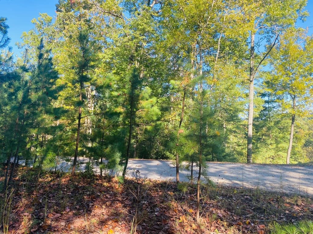 Lot 34 Point Overlook Trail, Murphy NC 28906 - Photo