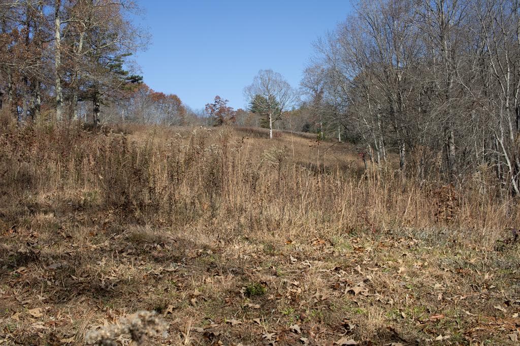 254 Padgett Lane, Turtletown TN 37391 - Photo