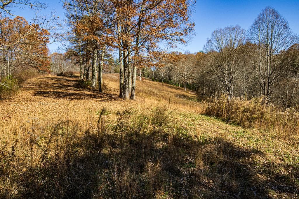 254 Padgett Lane, Turtletown TN 37391 - Photo