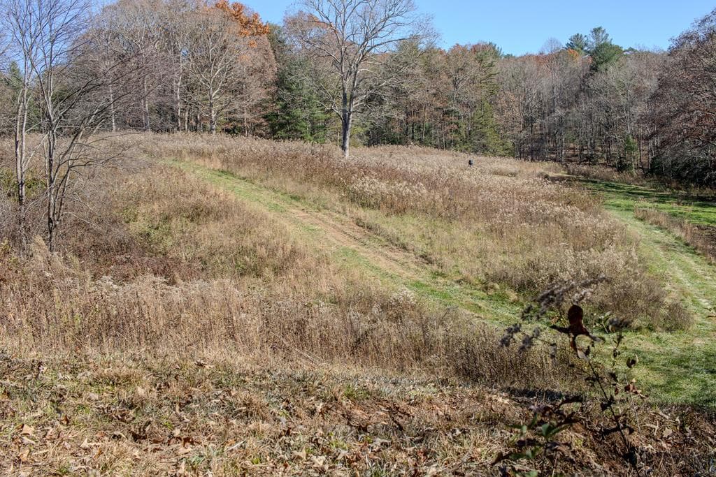 254 Padgett Lane, Turtletown TN 37391 - Photo