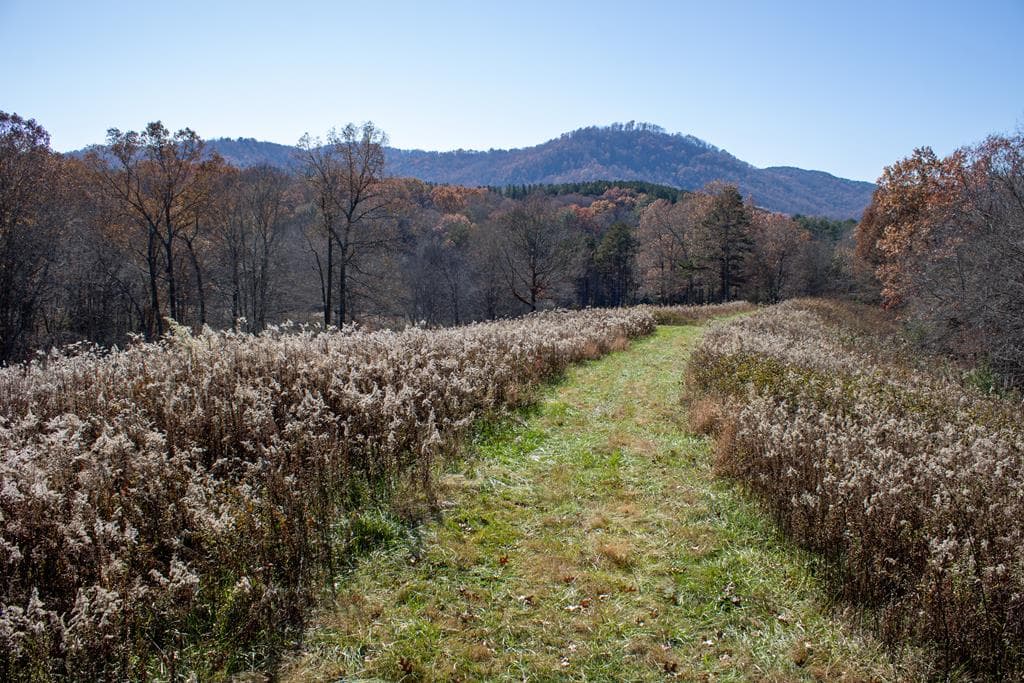 254 Padgett Lane, Turtletown TN 37391 - Photo