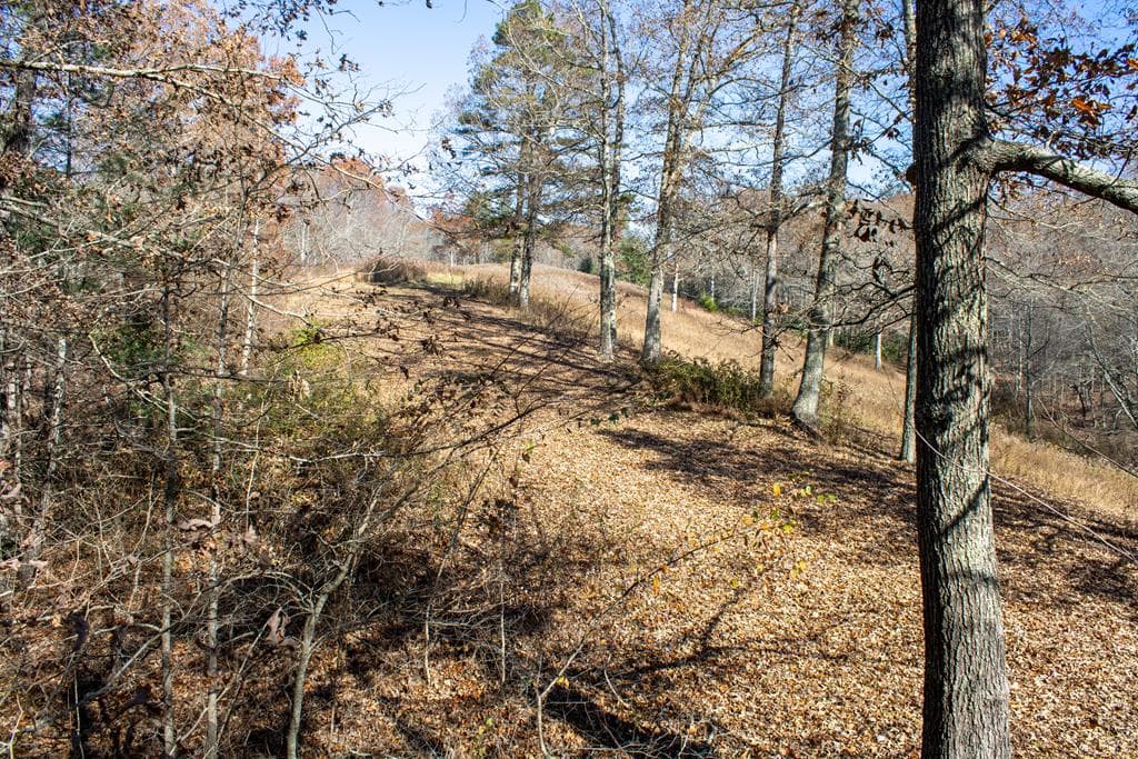 254 Padgett Lane, Turtletown TN 37391 - Photo