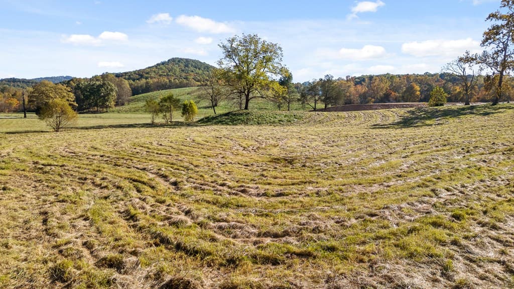 Lot 14 Bravo Way, Talking Rock GA 30175 - Photo