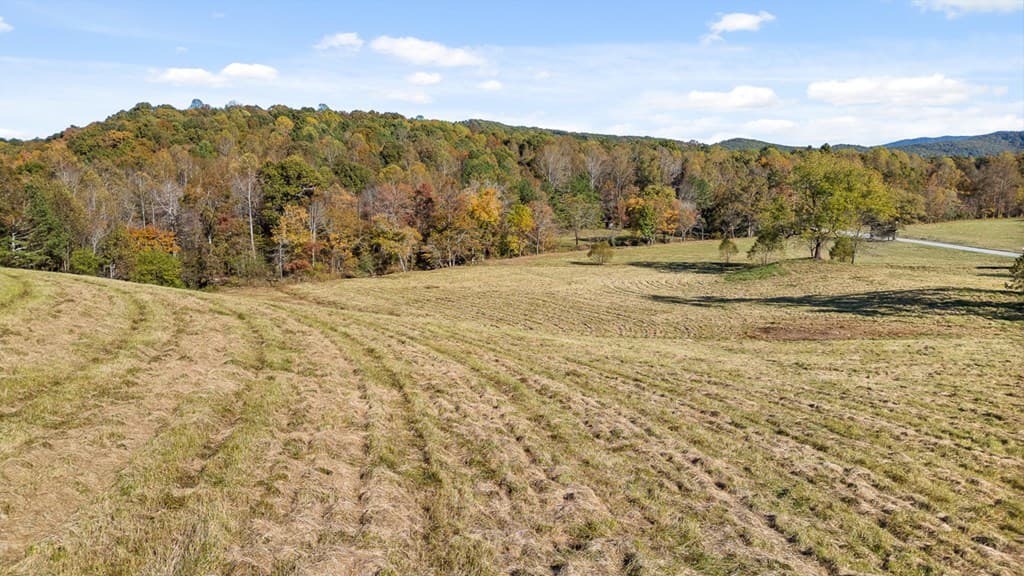 Lot 14 Bravo Way, Talking Rock GA 30175 - Photo