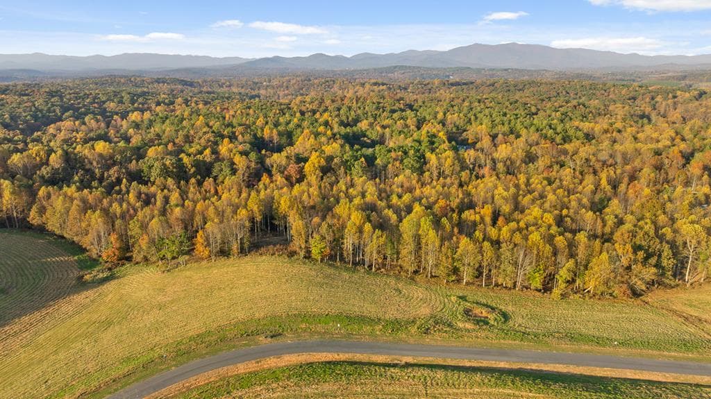Lot 24 Bravo Way, Talking Rock GA 30175 - Photo
